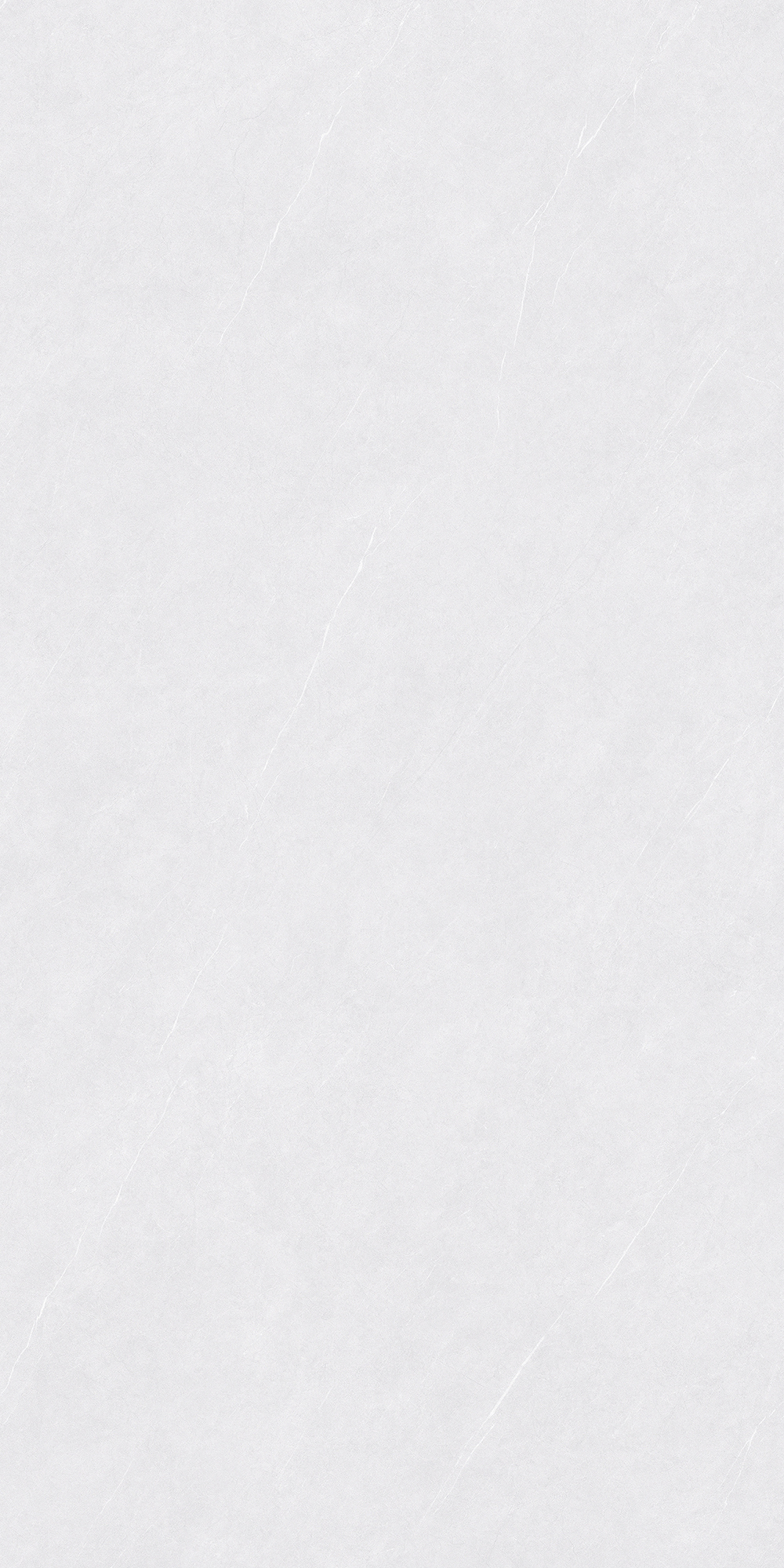 FTDZ12127雪松白
