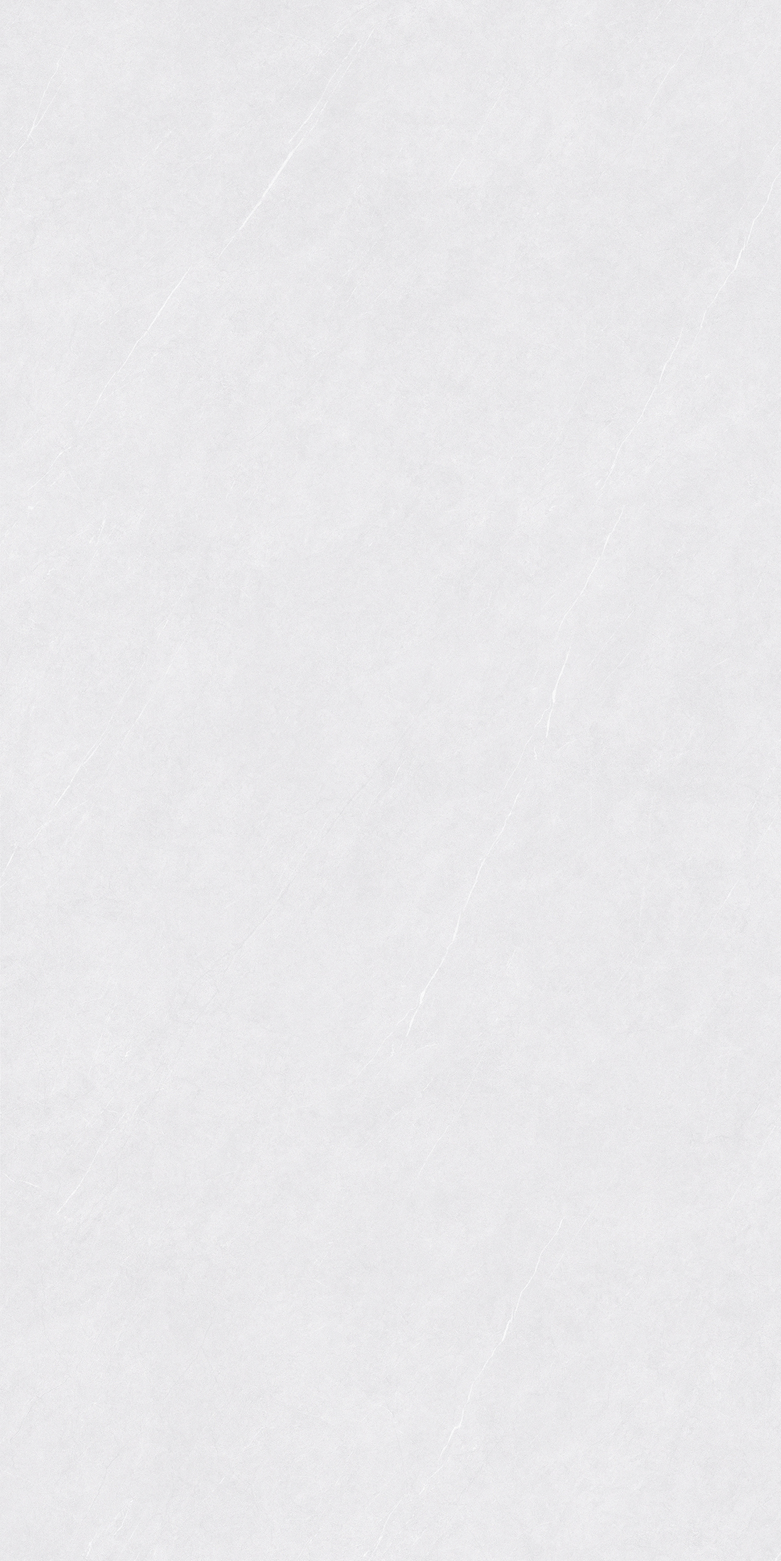 FTDZ12127雪松白